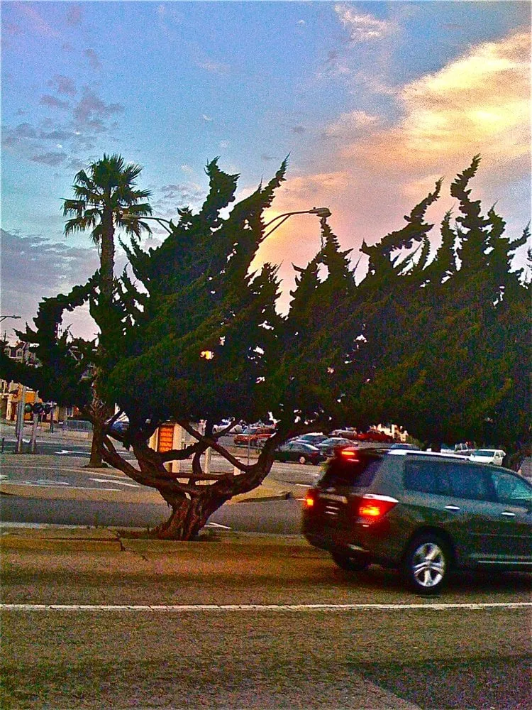 Professional garden landscaping experts serving Kirksville, MO - Tresala