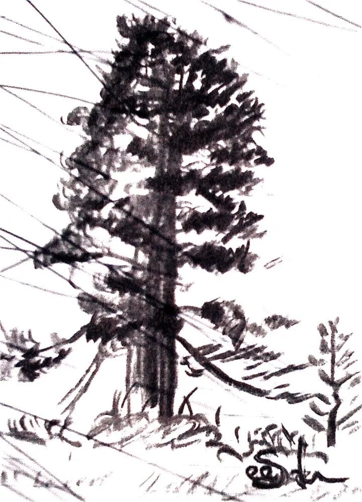 Affordable landscape design in Kirksville, MO - Tresala