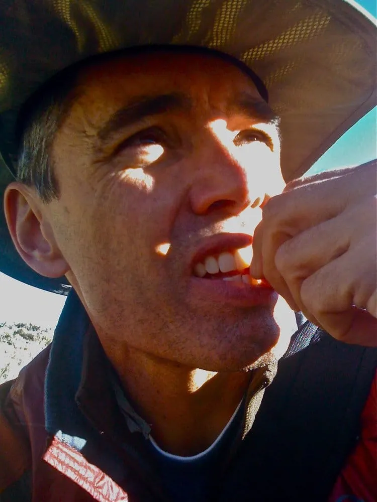 Trusted landscape installation for homes across Kirksville, MO - Tresala