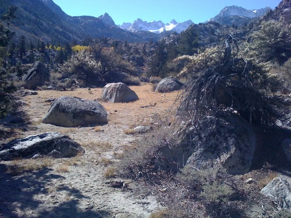 Local lawn care service experts serving Kirksville, MO - Tresala