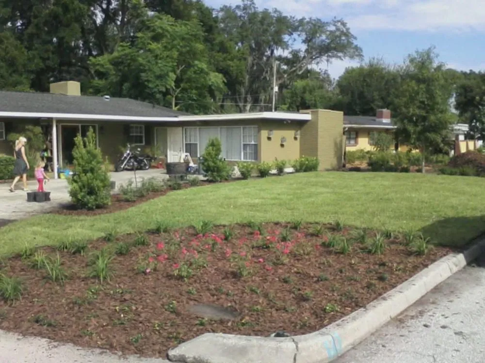 Professional yard cleanup service in Alafaya, FL - Tresco Services