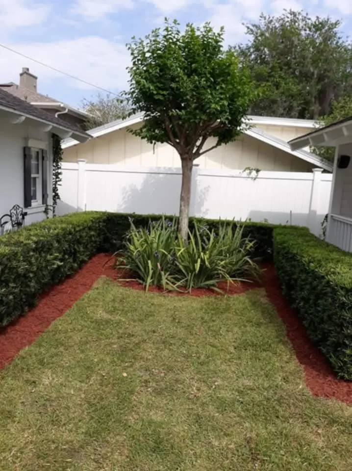 Expert lawn mowing service in Alafaya, FL by Tresco Services