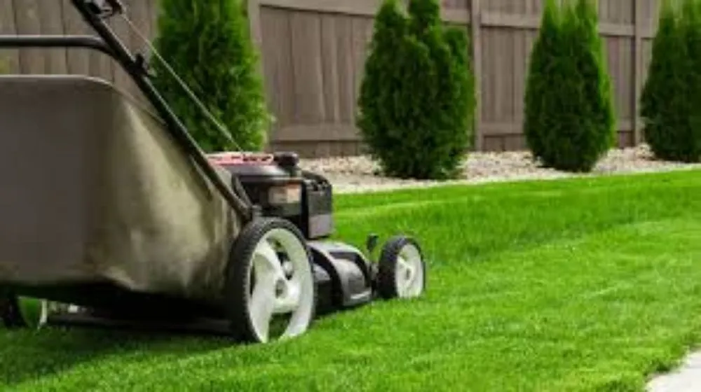 Professional landscape design experts serving Tucson, AZ - Tresflorez Landscaping