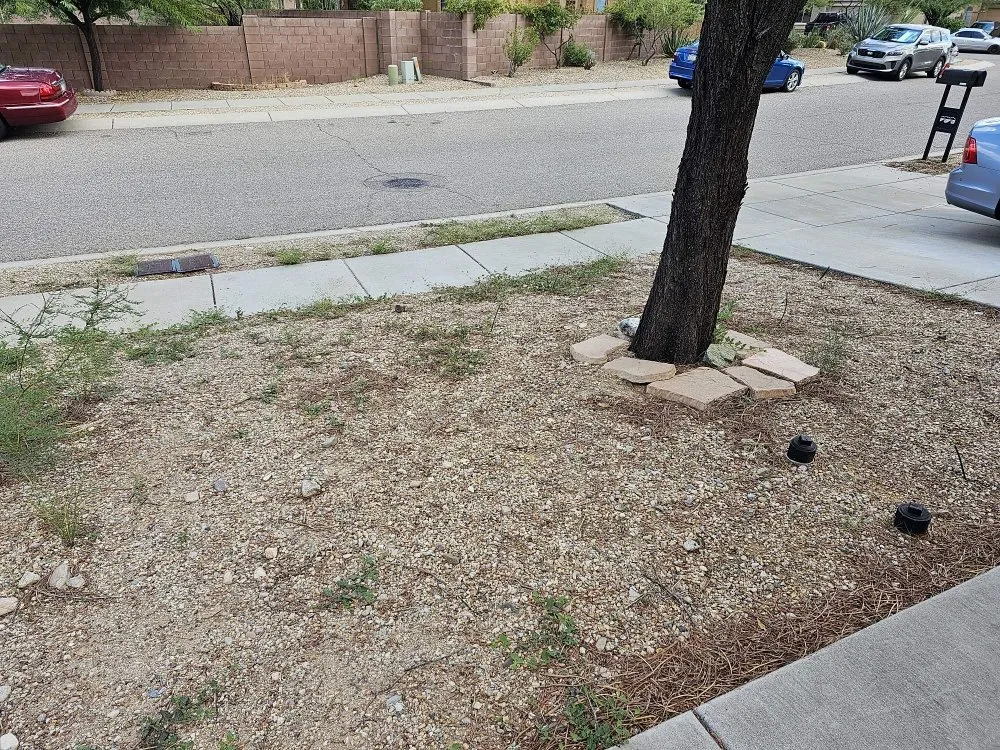 Affordable garden landscaping experts serving Tucson, AZ - Tresflorez Landscaping