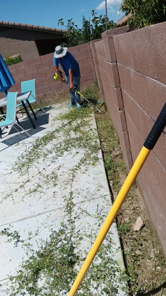 Affordable garden landscaping for beautiful yards across Tucson, AZ - Tresflorez Landscaping