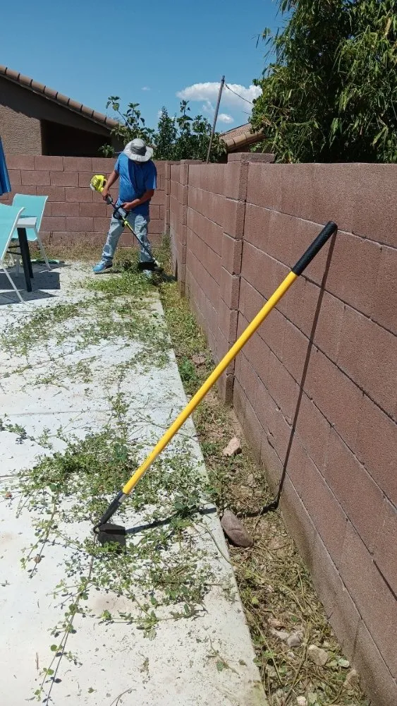 Top-rated residential landscaping for beautiful yards across Tucson, AZ - Tresflorez Landscaping