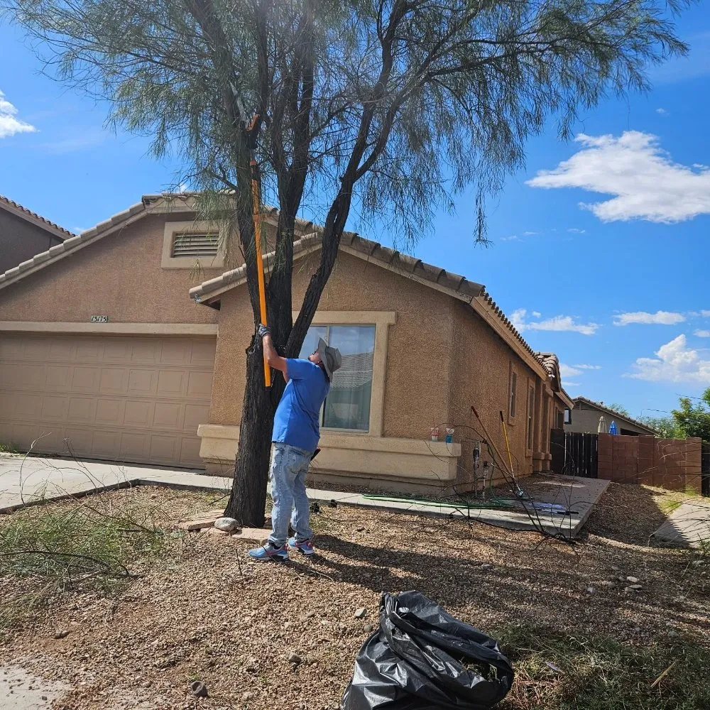 Custom garden landscaping in Tucson, AZ by Tresflorez Landscaping