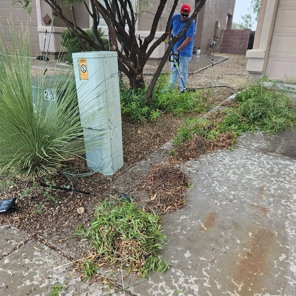 Affordable garden landscaping in Tucson, AZ by Tresflorez Landscaping