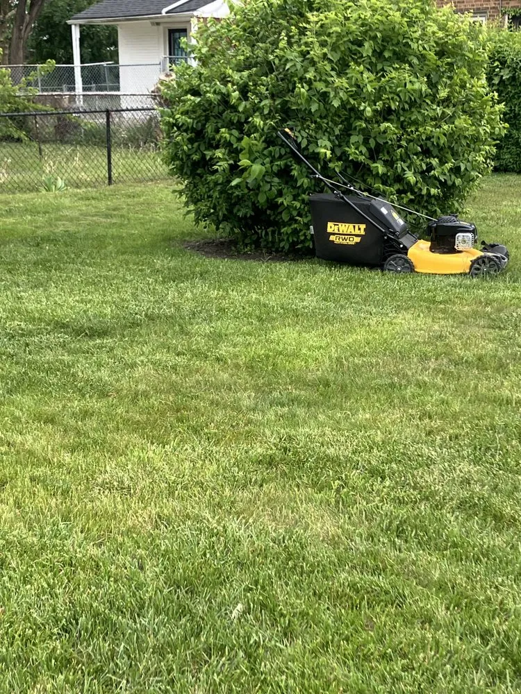 Custom outdoor landscaping in Chicago, IL - TresPadres Landscape Construction & Design