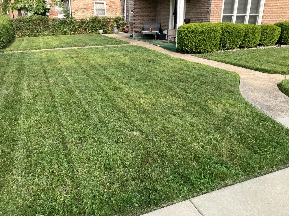 Top-rated yard cleanup service in Chicago, IL by TresPadres Landscape Construction & Design