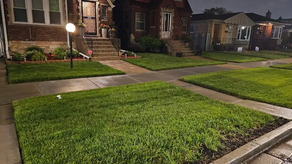 Top-rated yard cleanup service in Chicago, IL by TresPadres Landscape Construction & Design