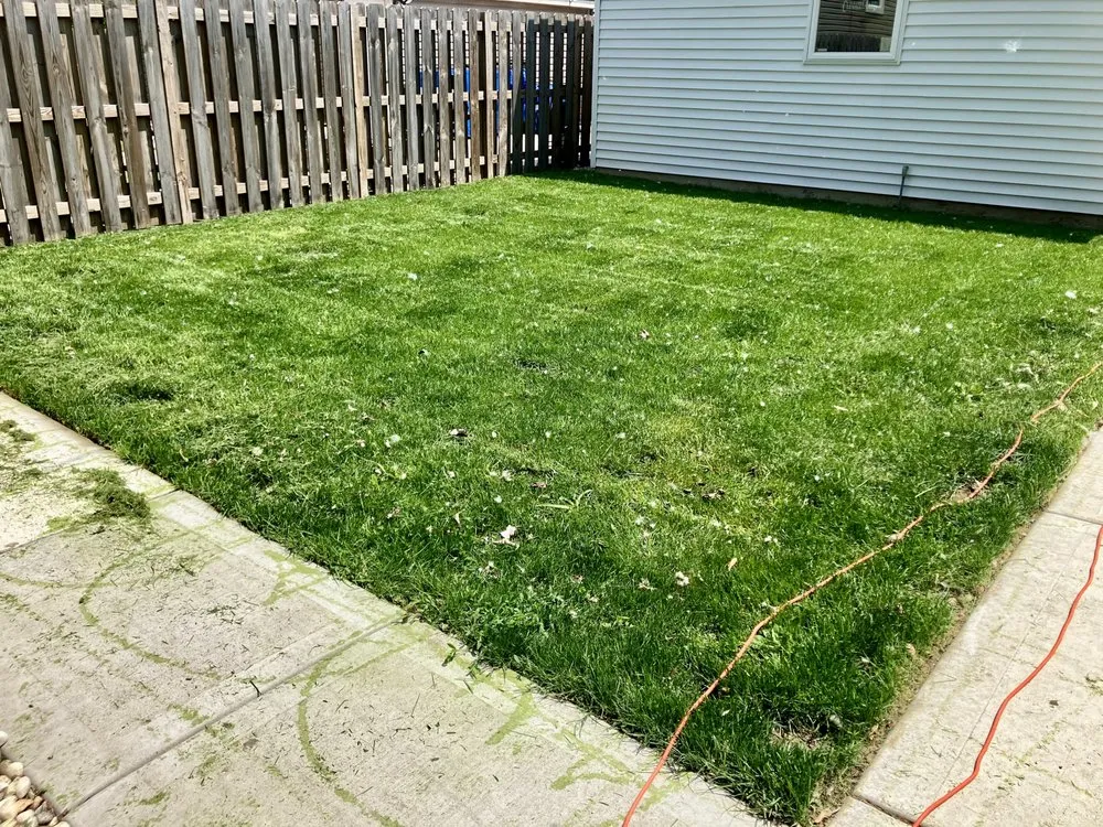 Trusted landscape installation in Chicago, IL by TresPadres Landscape Construction & Design