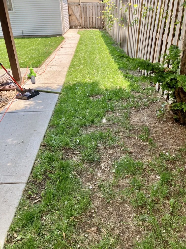 Local lawn care service in Chicago, IL - TresPadres Landscape Construction & Design