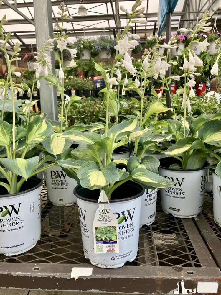 Local yard maintenance experts serving Chicago, IL - TresPadres Landscape Construction & Design