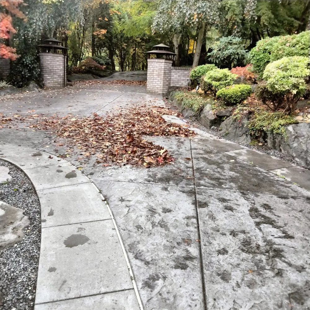 Top-rated landscape design in Tacoma, WA - Tress Landscaping