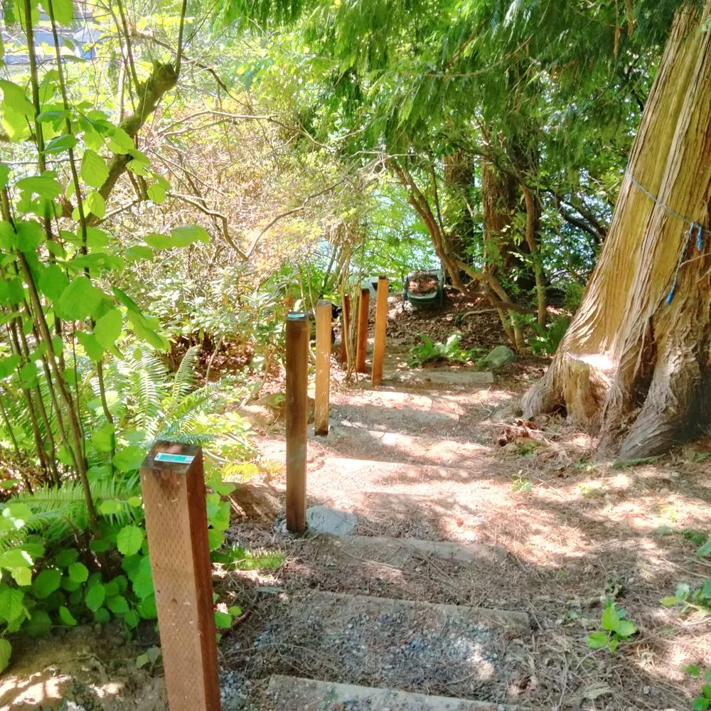 Custom yard cleanup service in Tacoma, WA - Tress Landscaping