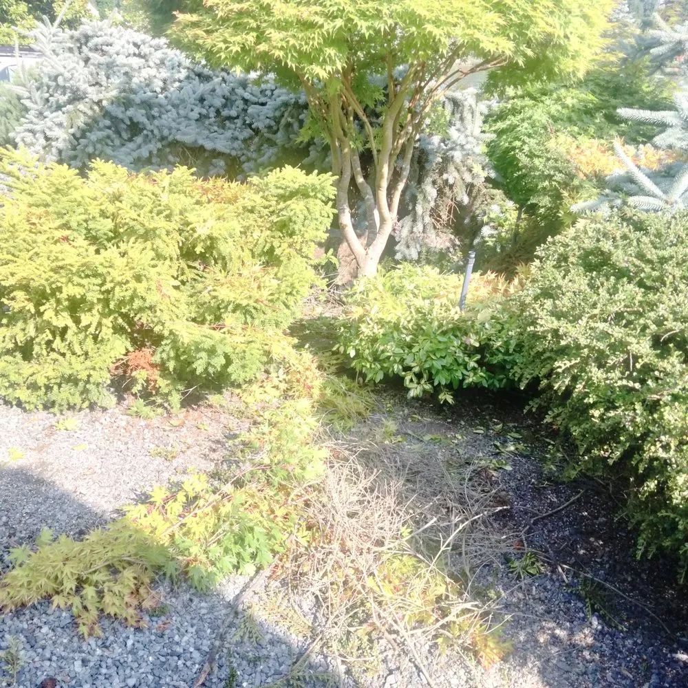 Local residential landscaping for homes across Tacoma, WA - Tress Landscaping