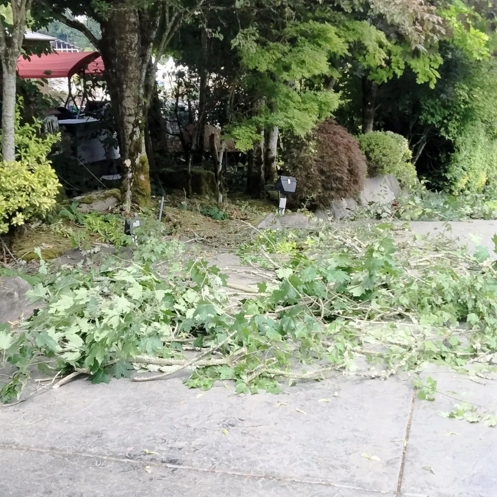 Top-rated yard maintenance experts serving Tacoma, WA - Tress Landscaping