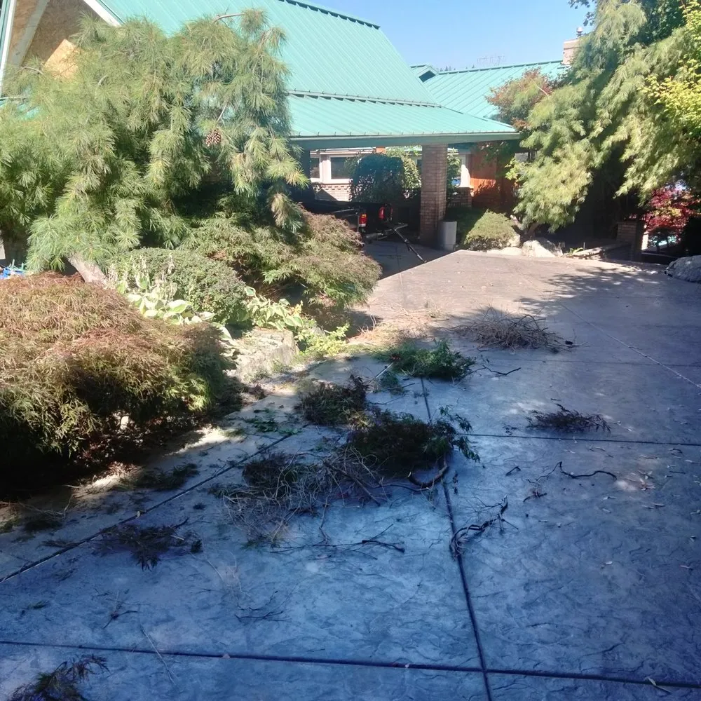 Local yard maintenance experts serving Tacoma, WA - Tress Landscaping