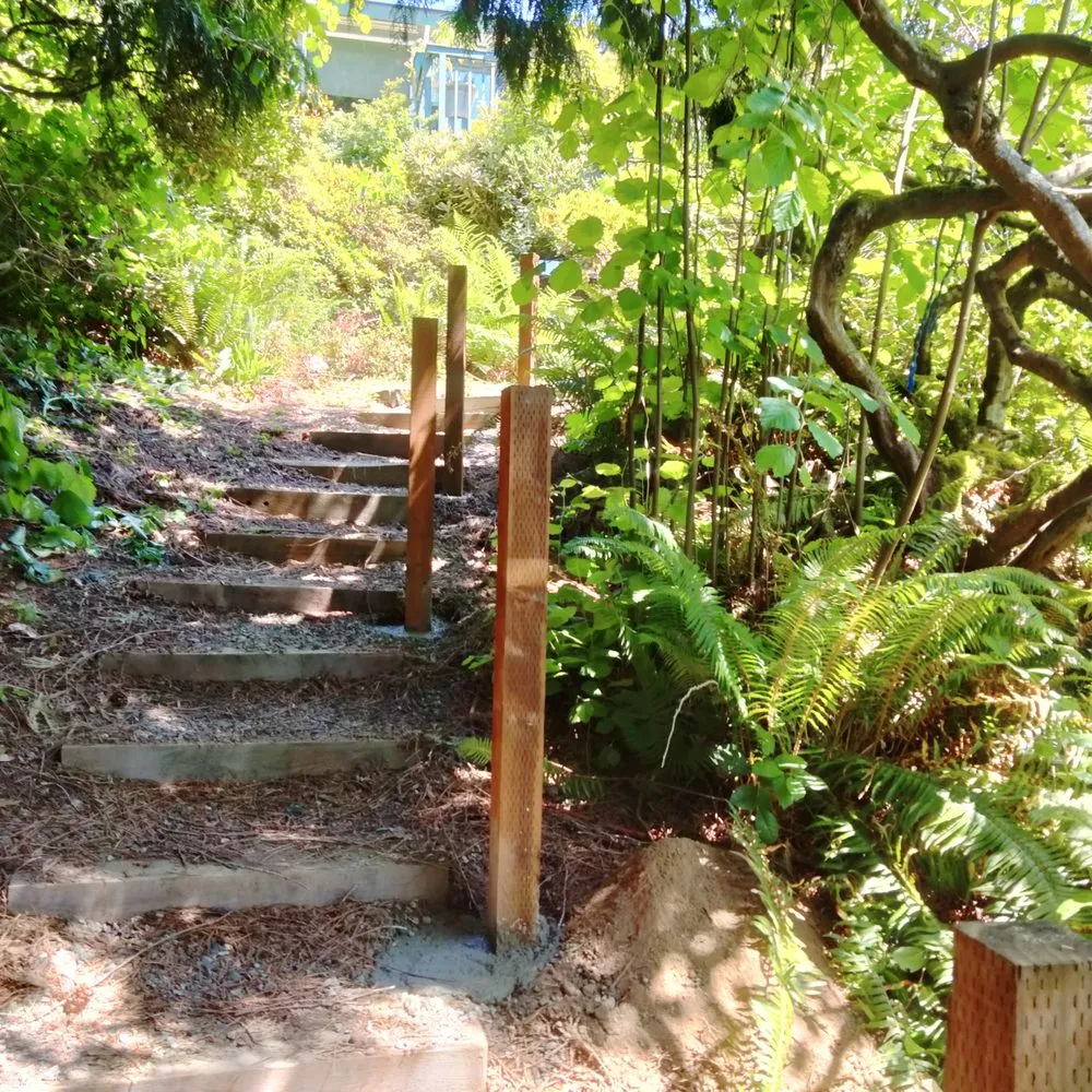 Custom lawn care service in Tacoma, WA - Tress Landscaping