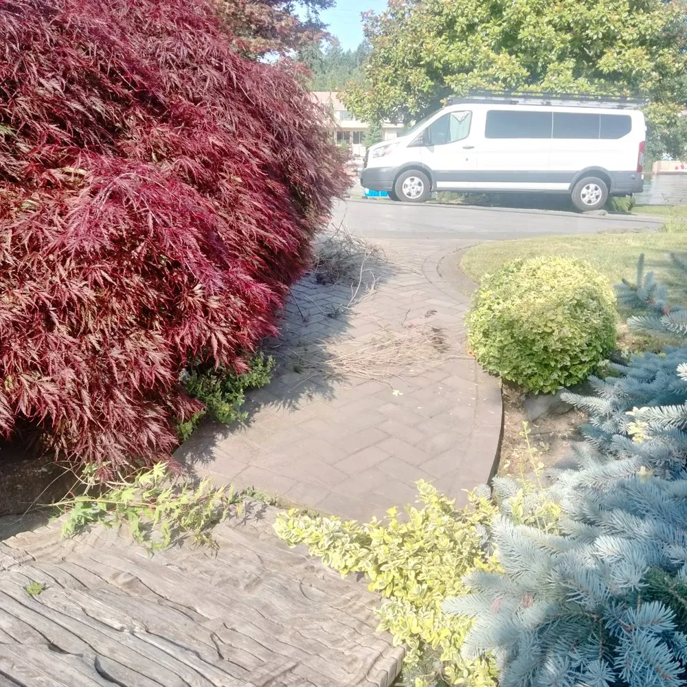 Professional lawn care service in Tacoma, WA - Tress Landscaping