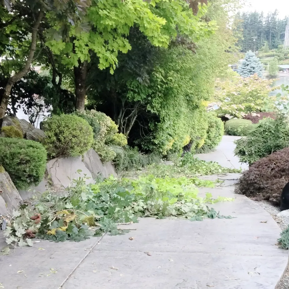Local outdoor landscaping with custom design across Tacoma, WA - Tress Landscaping