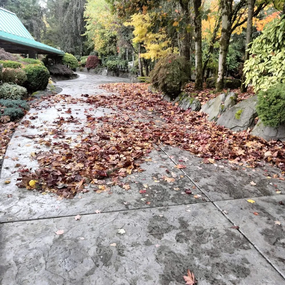 Professional landscape installation near you in Tacoma, WA by Tress Landscaping