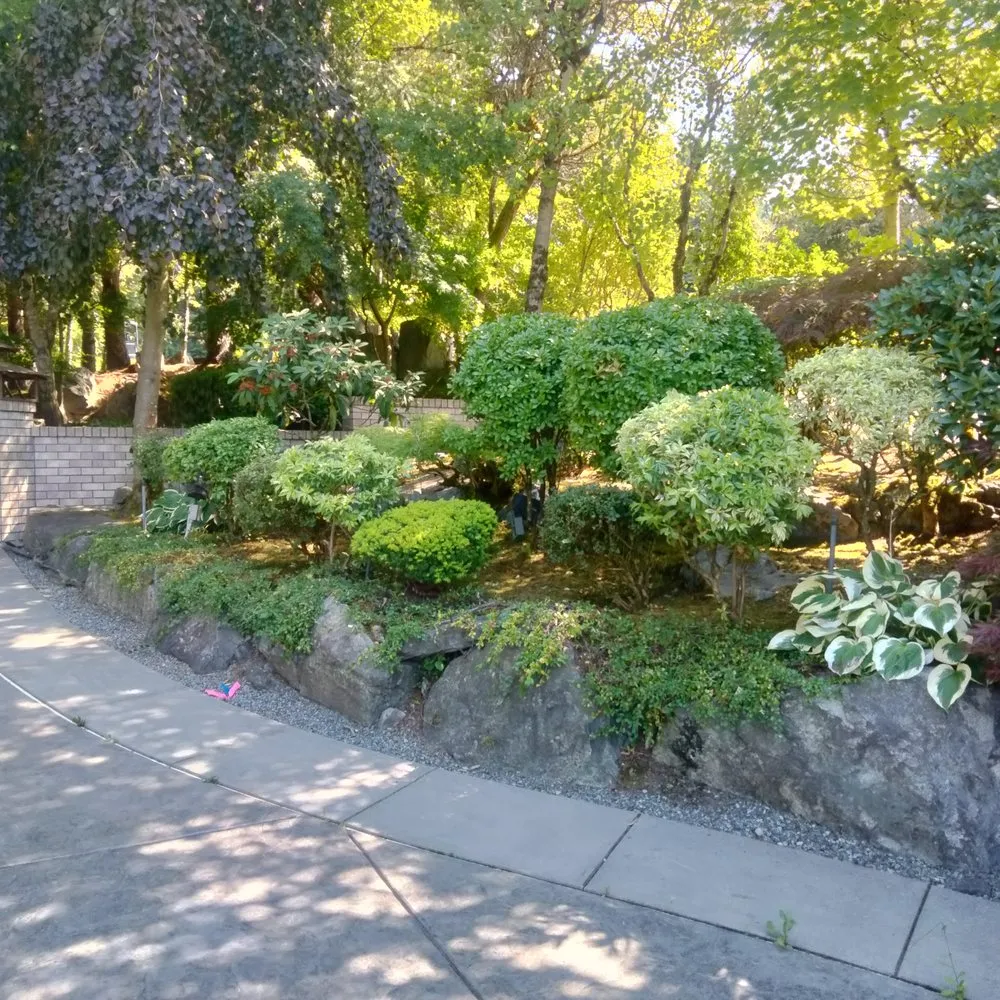 Reliable yard maintenance experts serving Tacoma, WA - Tress Landscaping