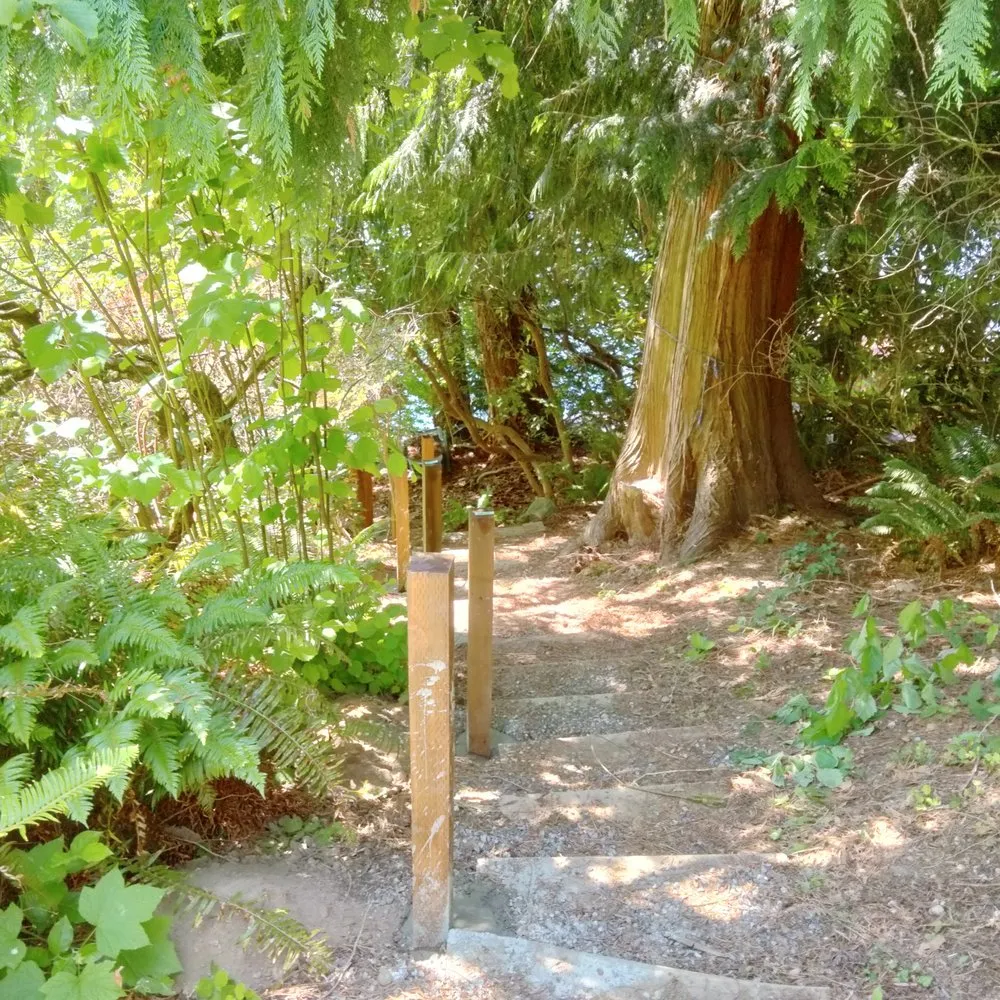 Local yard maintenance in Tacoma, WA - Tress Landscaping