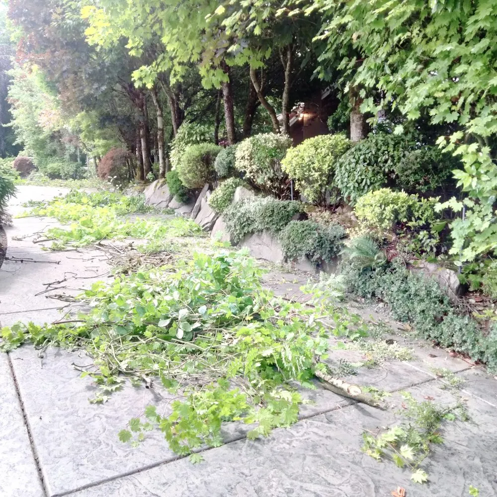 Affordable residential landscaping for residential properties in Tacoma, WA by Tress Landscaping