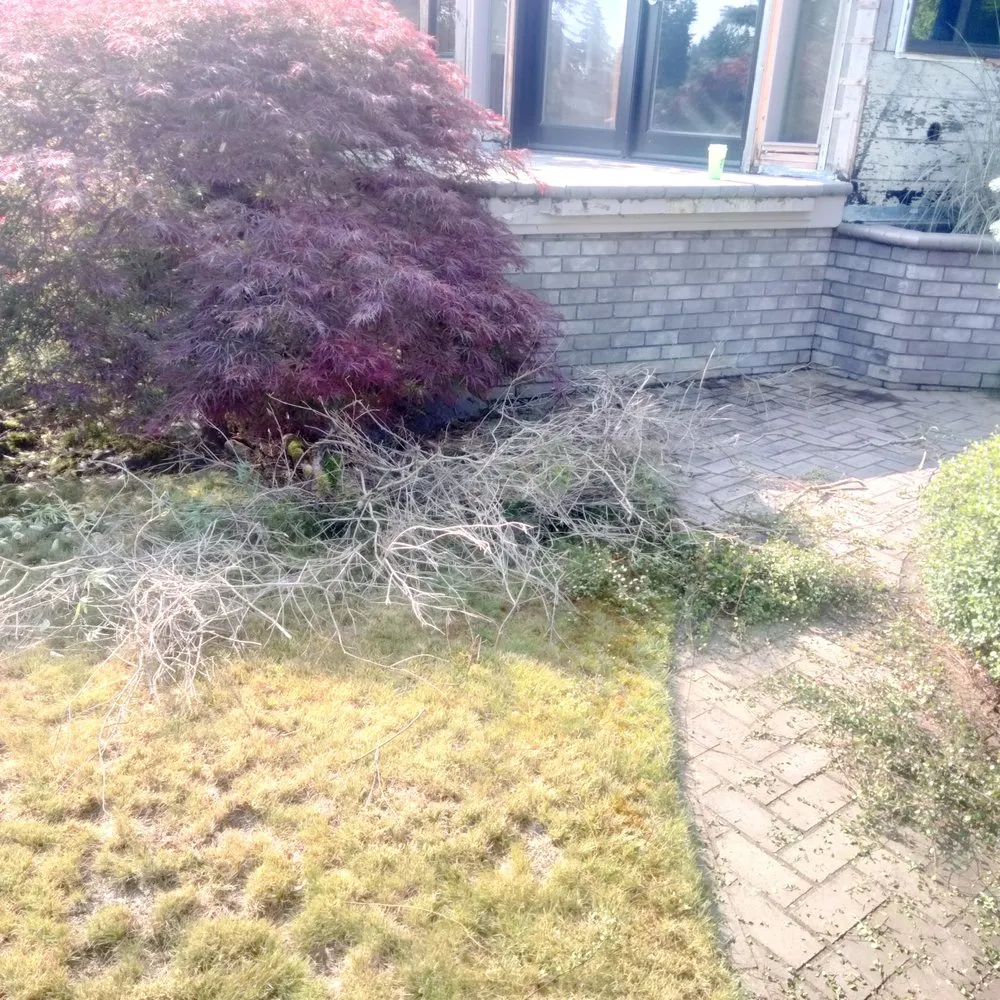 Trusted residential landscaping for homes across Tacoma, WA - Tress Landscaping