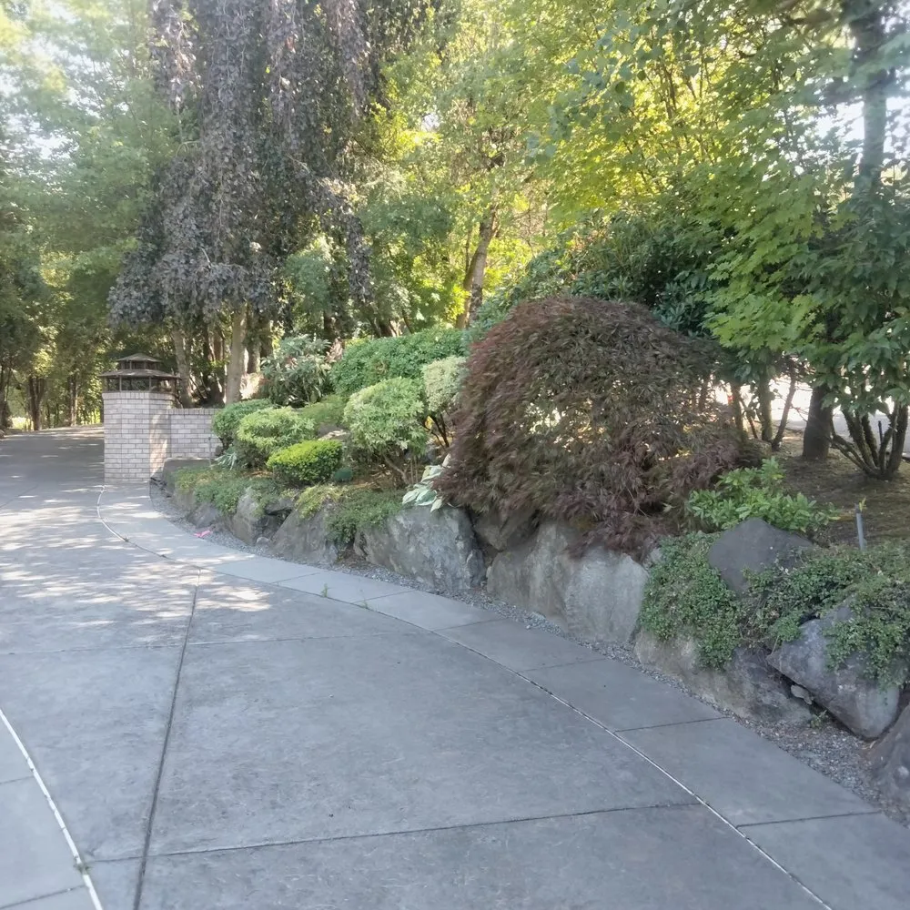 Trusted yard cleanup service experts serving Tacoma, WA - Tress Landscaping