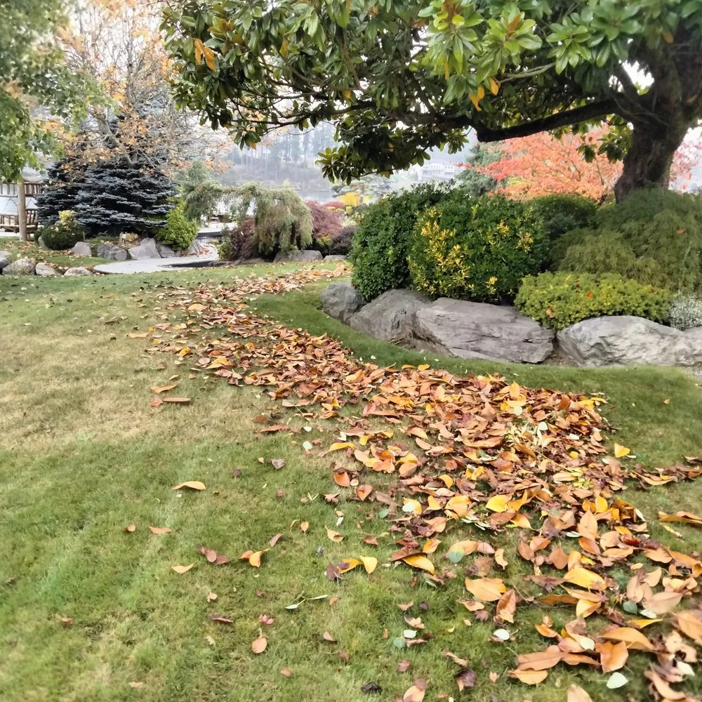 Top-rated landscape installation in Tacoma, WA by Tress Landscaping