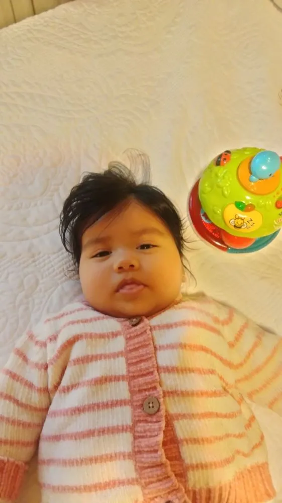 Local landscaping services in Tacoma, WA - Tress Landscaping