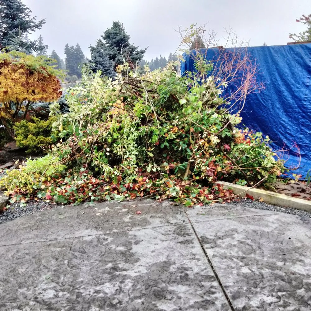 Local landscape installation with custom design across Tacoma, WA - Tress Landscaping
