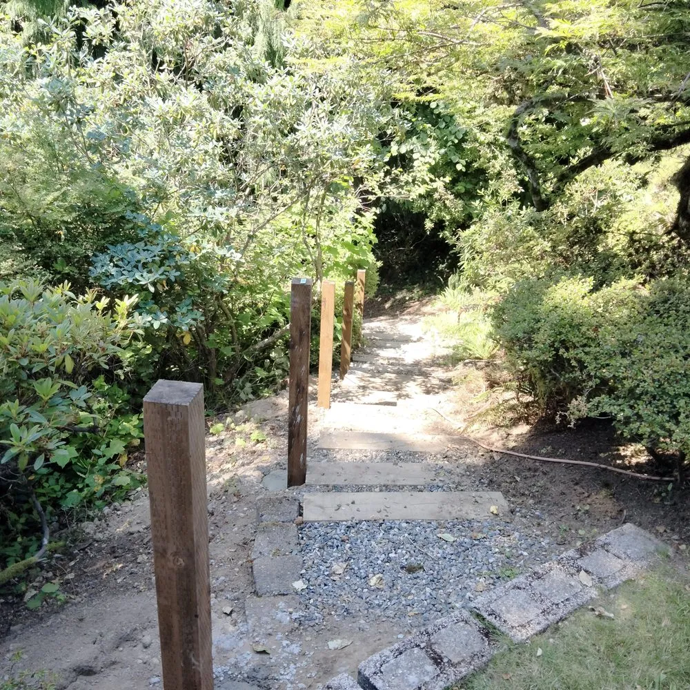 Local lawn care service for outdoor upgrades across Tacoma, WA - Tress Landscaping