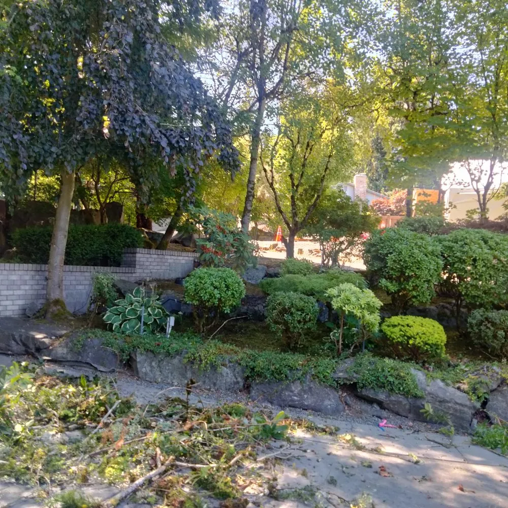 Top-rated lawn care service for outdoor upgrades in Tacoma, WA by Tress Landscaping