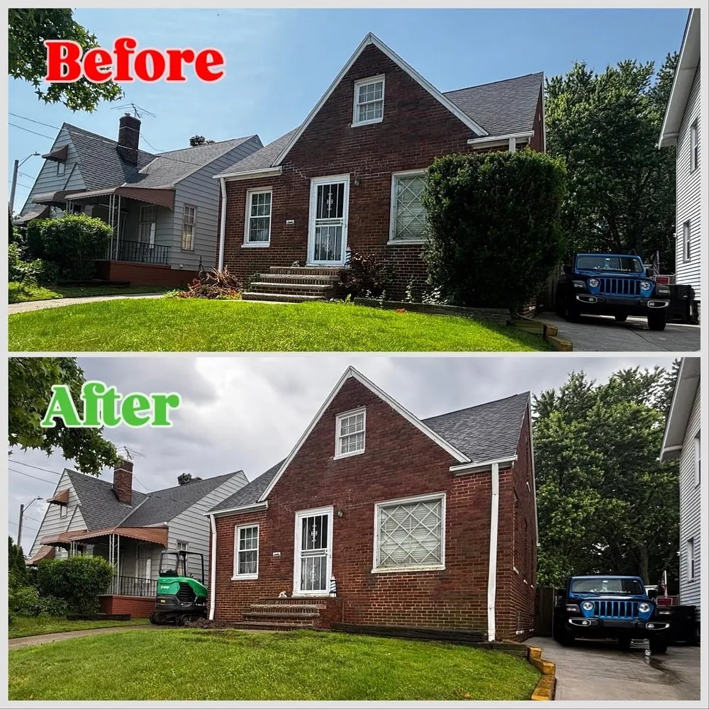 Expert yard cleanup service experts serving Strongsville, OH - Treva