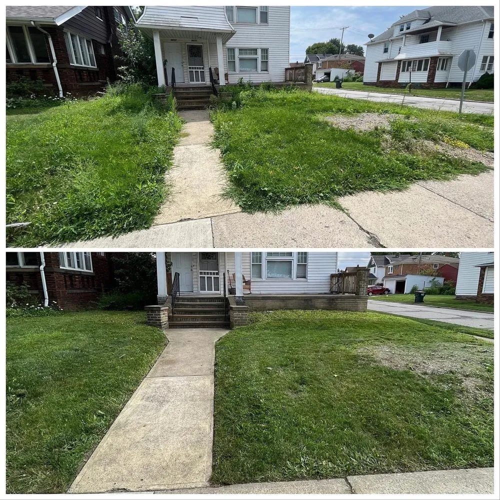 Reliable lawn care service in Strongsville, OH by Treva