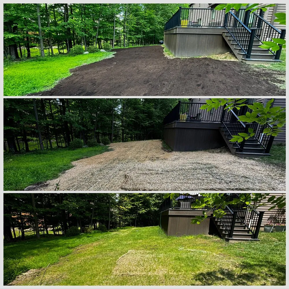 Reliable residential landscaping in Strongsville, OH - Treva