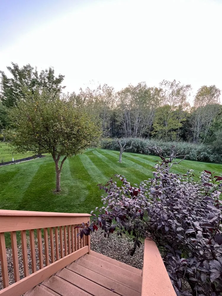 Professional landscape design for residential properties in Strongsville, OH by Treva
