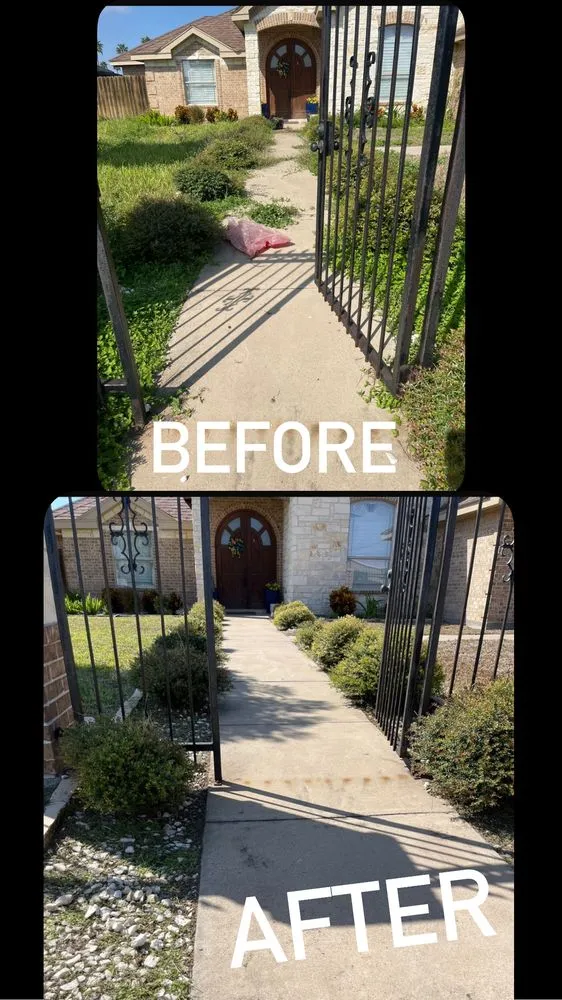 Expert landscaping services experts serving Alamo, TX - Trevino's Landscaping and Lawn Care