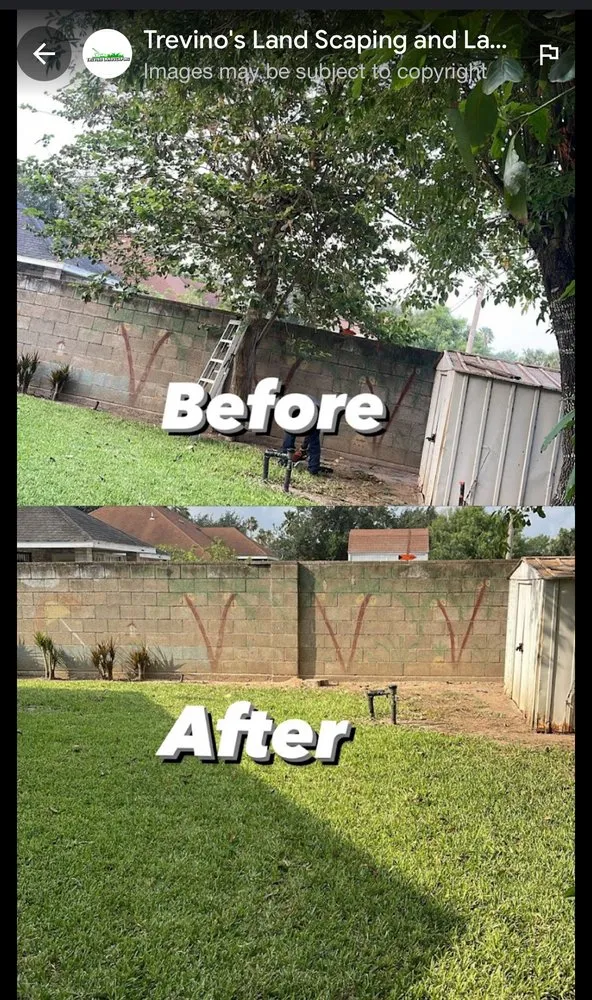 Trusted outdoor landscaping in Alamo, TX - Trevino's Landscaping and Lawn Care