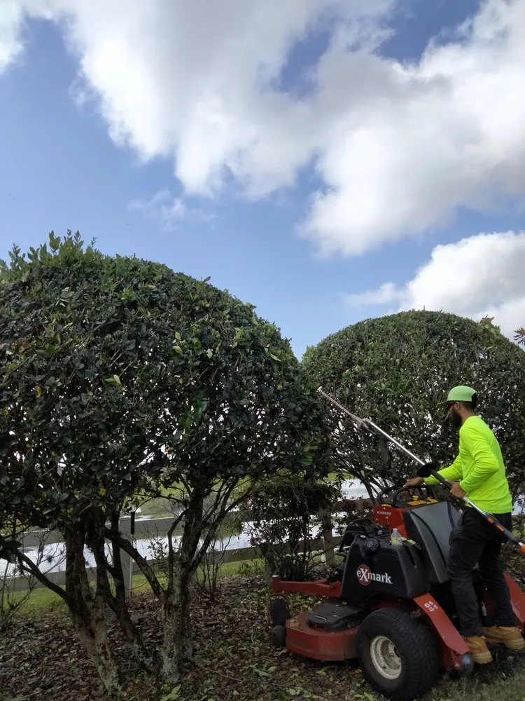 Professional garden landscaping for homes in Auburndale, FL by Trevino's Lawn care