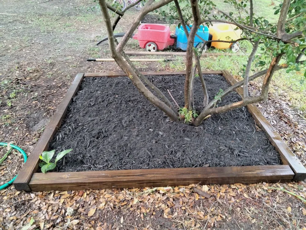 Custom landscaping services in Auburndale, FL by Trevino's Lawn care