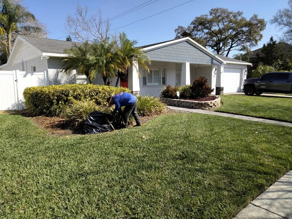 Professional lawn care service with custom design in Auburndale, FL by Trevino's Lawn care