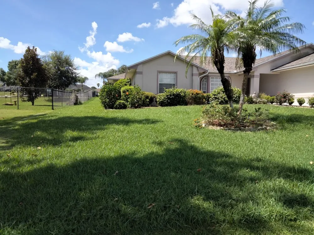 Expert yard maintenance experts serving Auburndale, FL - Trevino's Lawn care