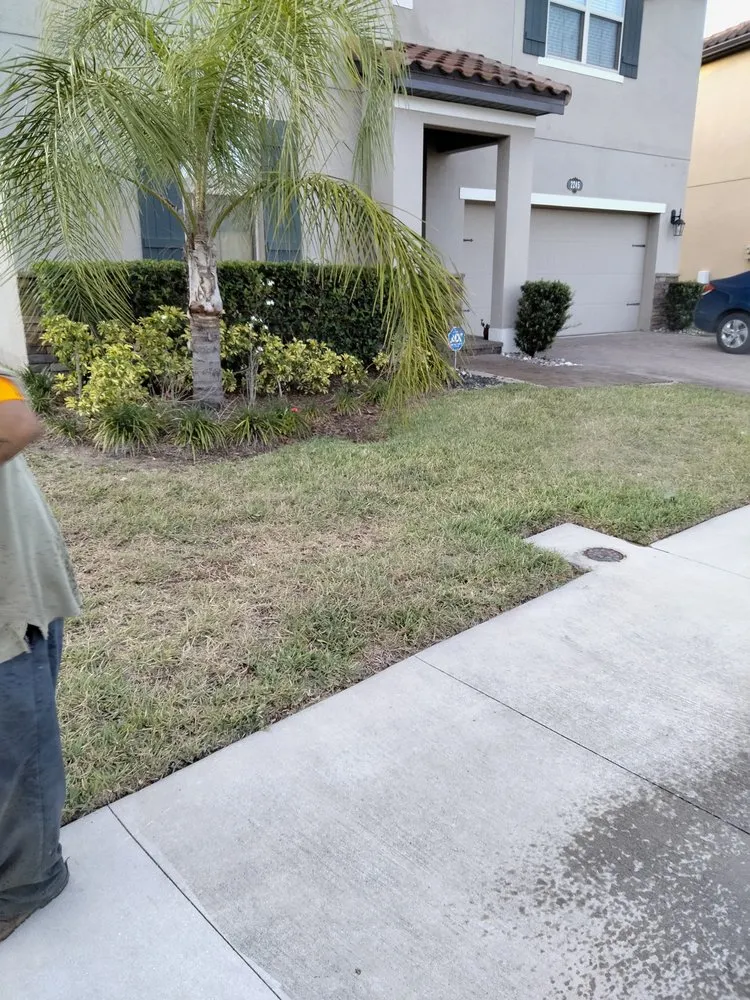 Top-rated lawn care service in Auburndale, FL - Trevino's Lawn care