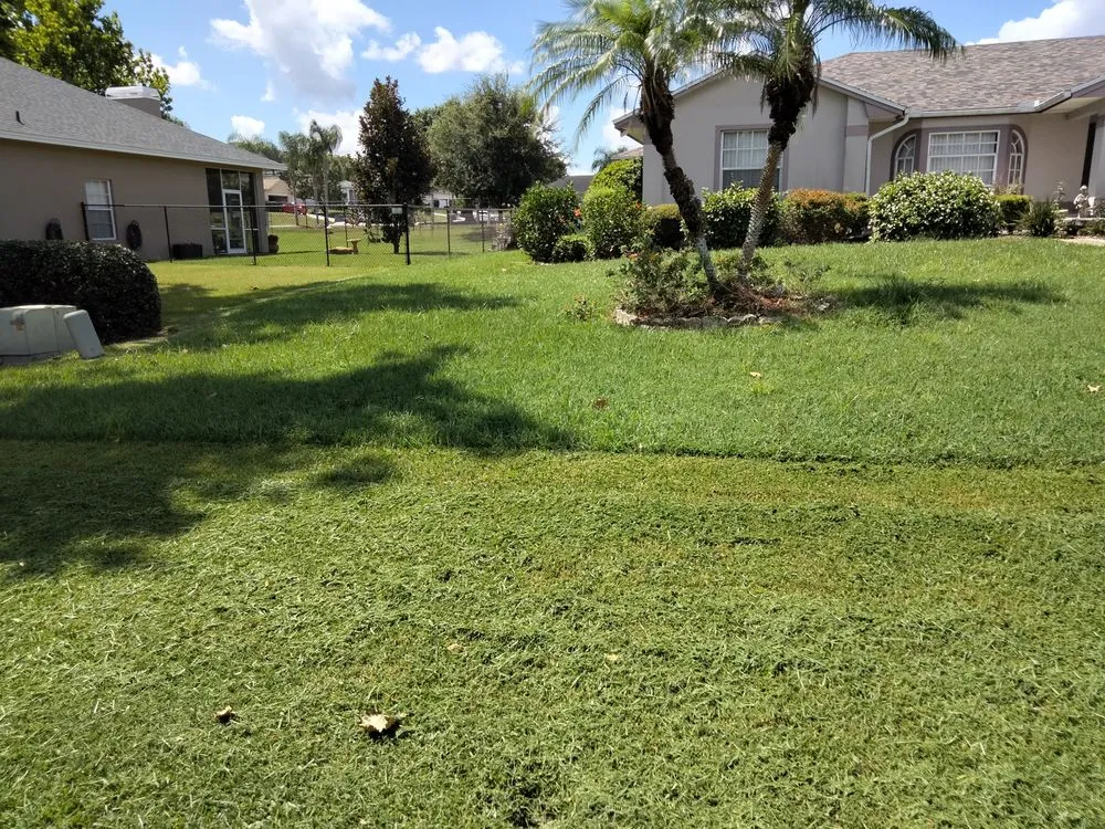 Professional landscape installation near you across Auburndale, FL - Trevino's Lawn care