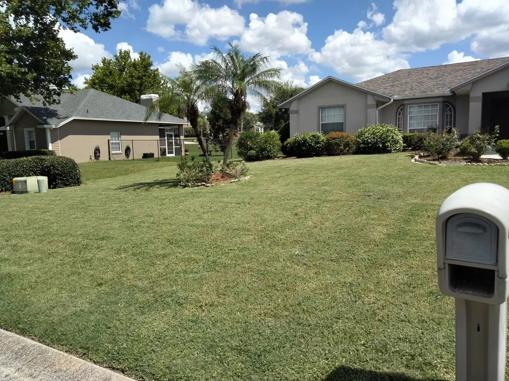 Trusted lawn care service near you across Auburndale, FL - Trevino's Lawn care
